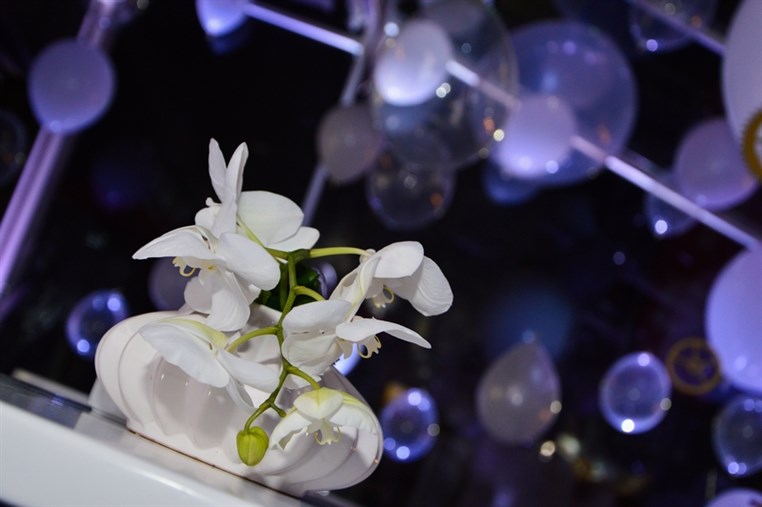Cadrans Unveiling Dbayeh Flagship Store